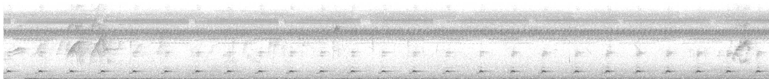 白腹秧雞 - ML619865561