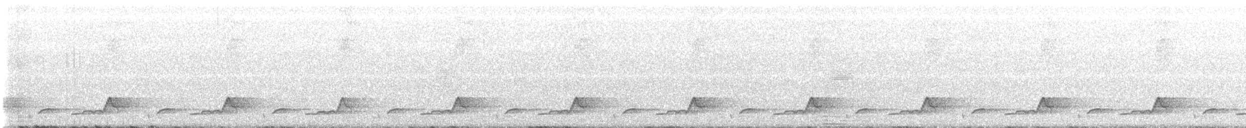 Schwarzkehl-Nachtschwalbe - ML619865624