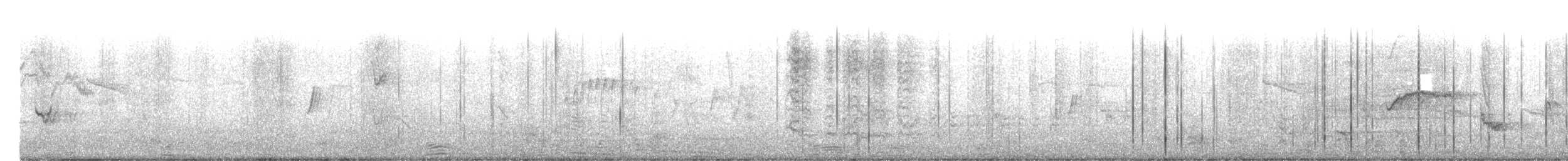 クロヒゲマネシツグミ - ML619866157