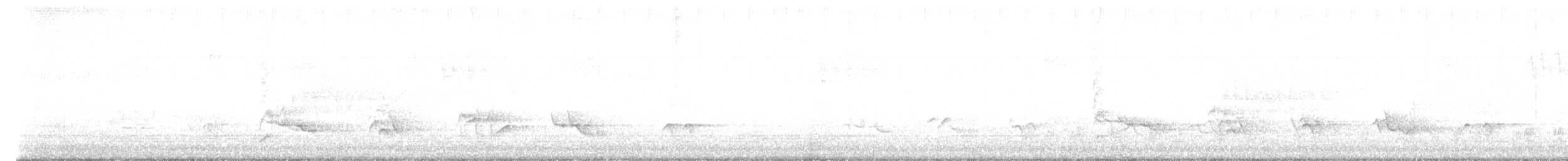 Western Wood-Pewee - ML619867461