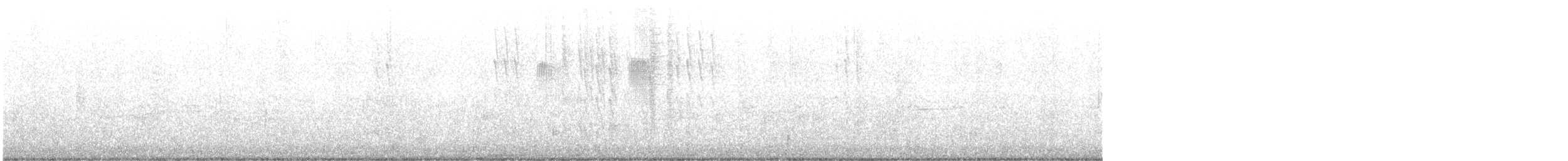 Широкохвостый колибри - ML619869927