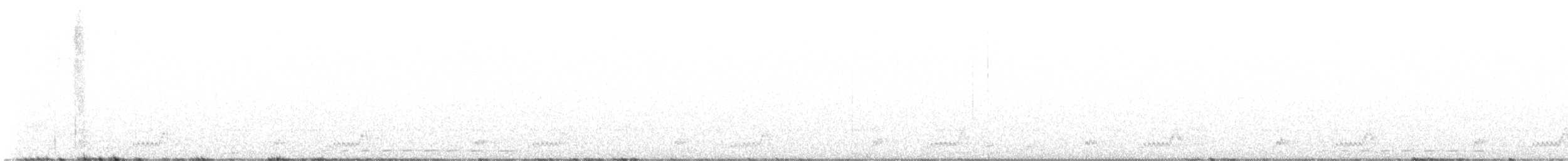 Mexikonachtschwalbe - ML619869933