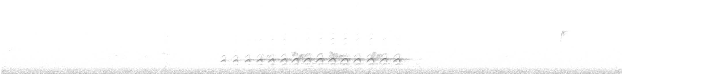 Sittelle à poitrine blanche (groupe lagunae) - ML619869959