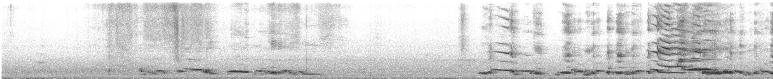 Avustralya Saksağanı - ML619871190