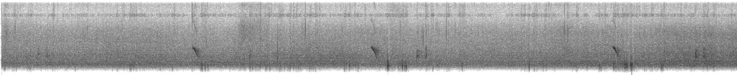 grånakkefjellfink (umbrina) - ML619872807