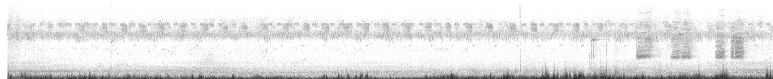 Black Francolin - ML619872958