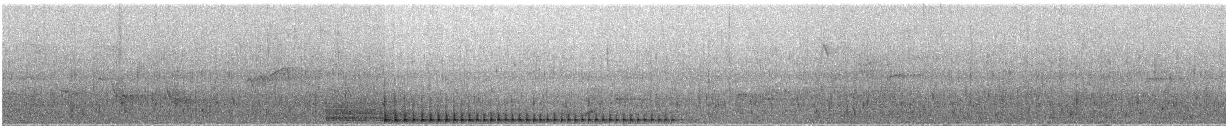 Black Woodpecker - ML619874130