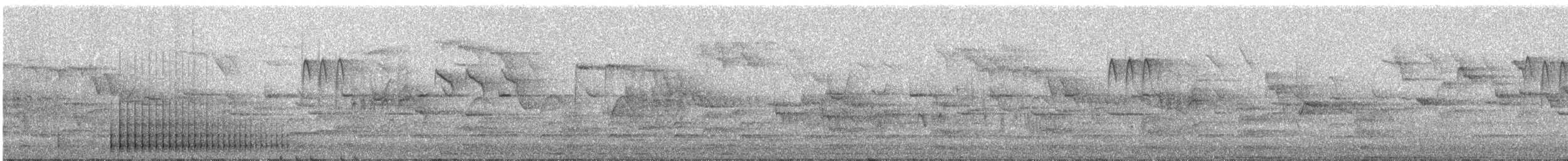 Syrian Woodpecker - ML619874250