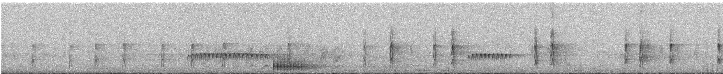 Great Spotted Woodpecker - ML619875126