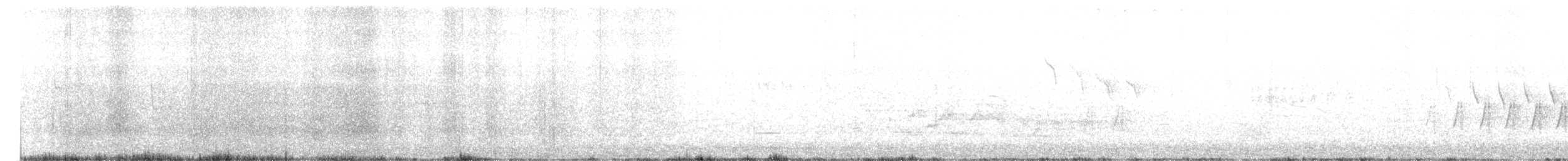 Amilotx urdina - ML619875732