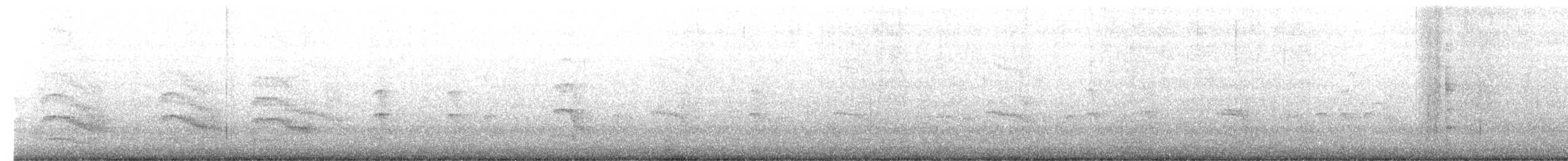 Common/Arctic Tern - ML619875733
