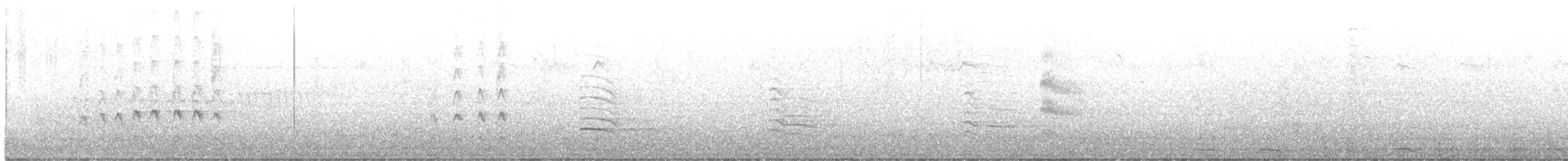 hvitsmykkehonningeter - ML619875932