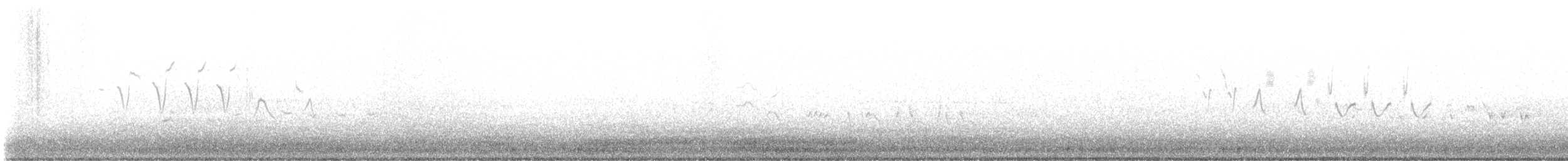 Кузнечиковая овсянка-барсучок - ML619876823