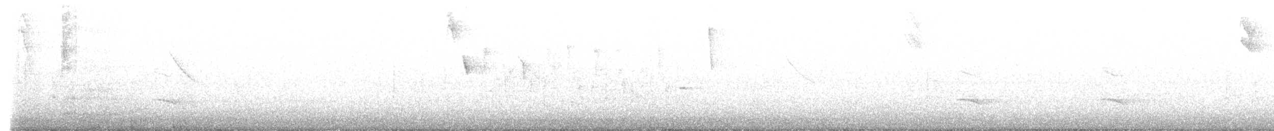 Гутурама темнощока - ML619876945