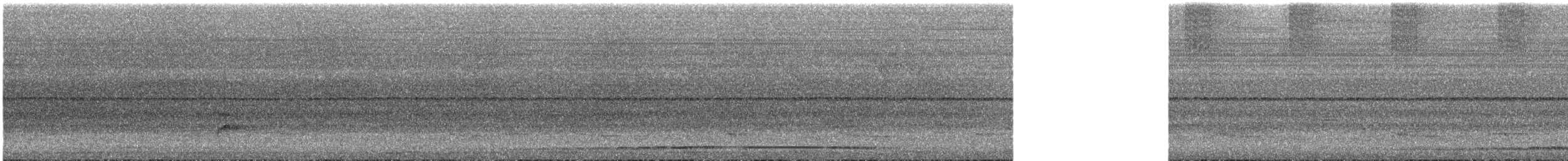 Philippinen-Blaubrustpitta - ML619877581