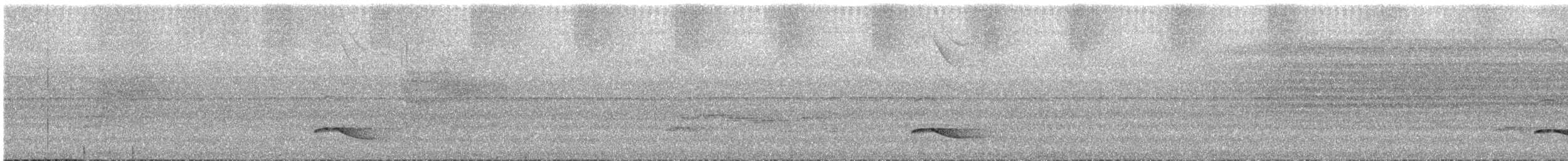 シロボシショウビン - ML619877787