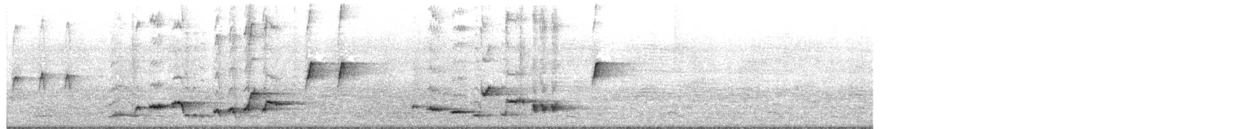 Shama à croupion blanc (groupe malabaricus) - ML619877878