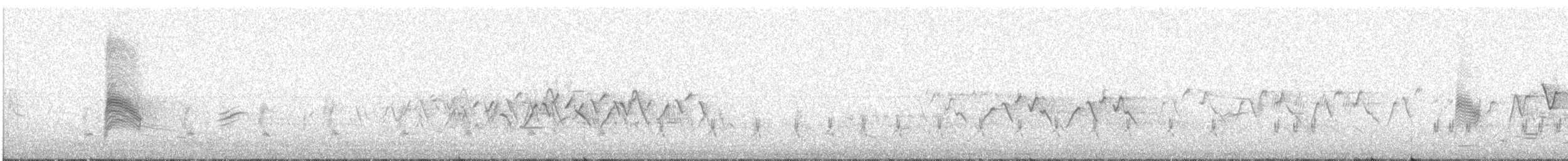 Falkennachtschwalbe - ML619878674