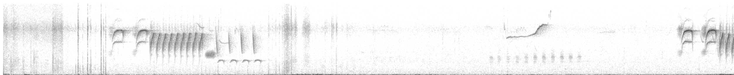 Bewick Çıtkuşu - ML619878736