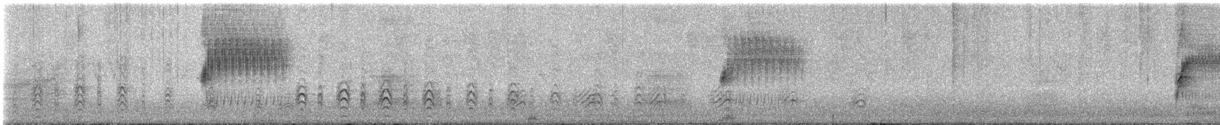 Тауї плямистий - ML619878788