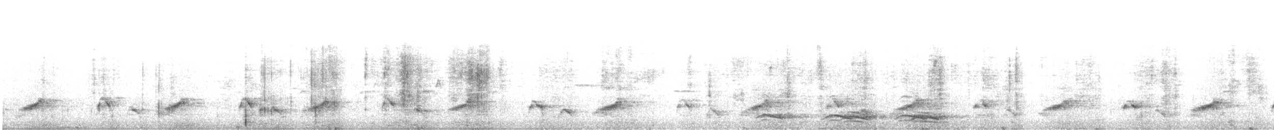 灰胸竹雞 - ML619879007