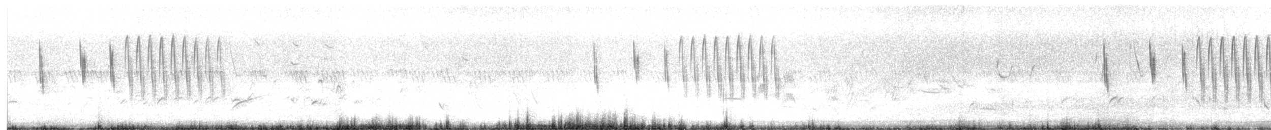 Troglodyte à bec court - ML619882324