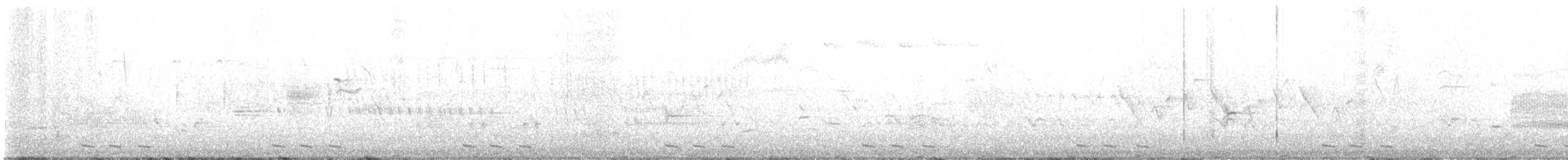 Black-billed Cuckoo - ML619882627