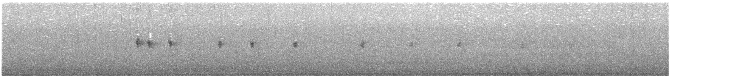 Mirlo Acuático Norteamericano - ML619882672