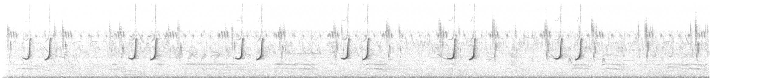 Regenwachtel - ML619883273