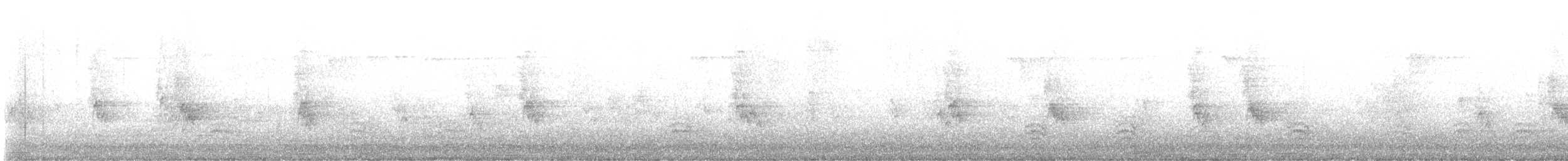 Weißbrustkleiber - ML619883536
