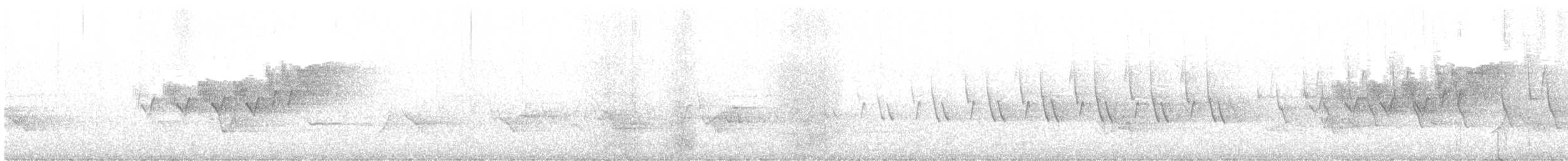 Cerulean Warbler - ML619884155