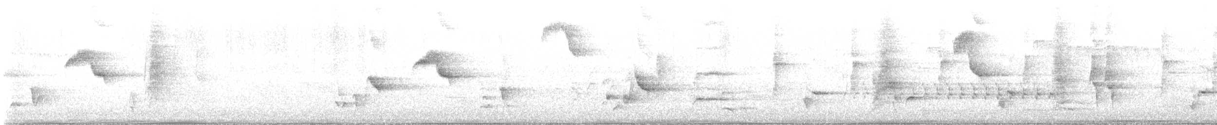 Пересмішник сірий - ML619885119