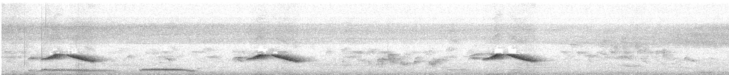 Streifenbrust-Erddrossling - ML619887526