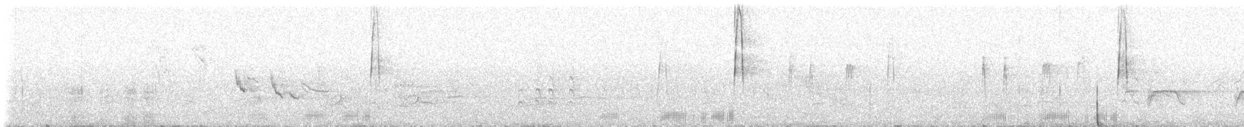 Waldschnepfe - ML619888655