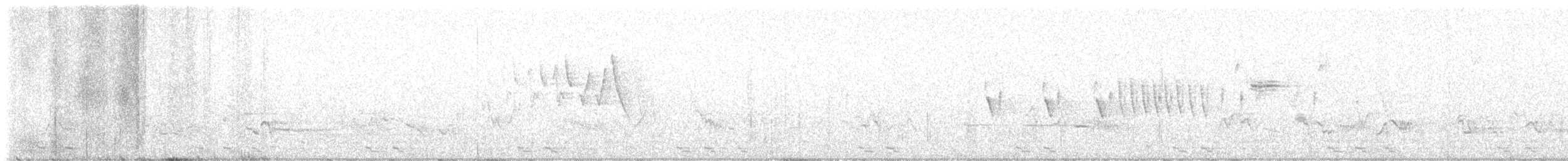Black-billed Cuckoo - ML619890598