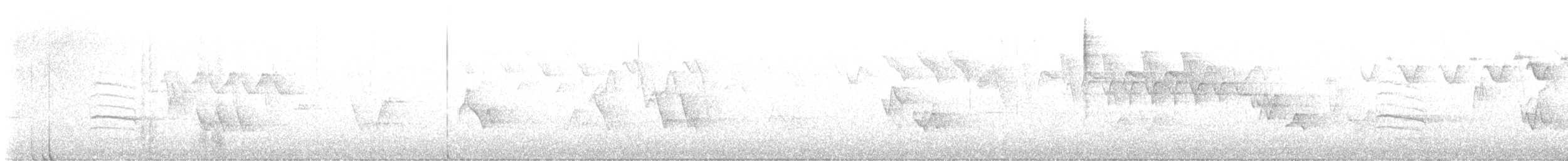 lesňáček černobílý - ML619892563