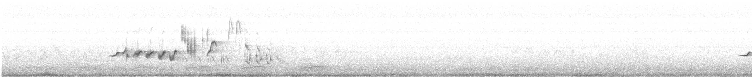Rougequeue à front blanc (phoenicurus) - ML619893017