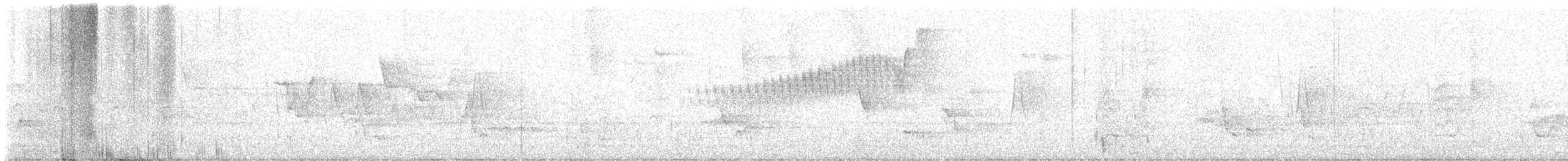 Olivflanken-Schnäppertyrann - ML619893378