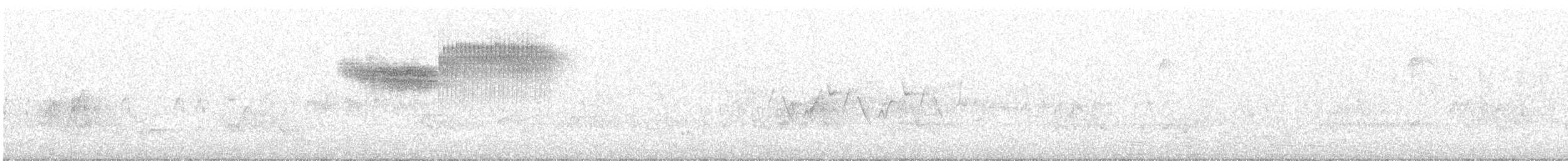 Голубокрылая червеедка - ML619898501