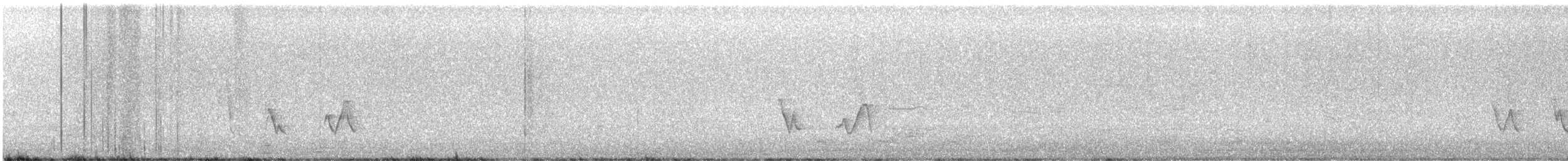 Black-whiskered Vireo - ML619898913