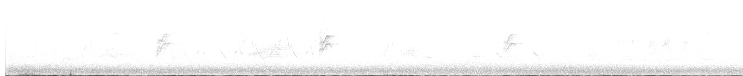 vierempid - ML619899019