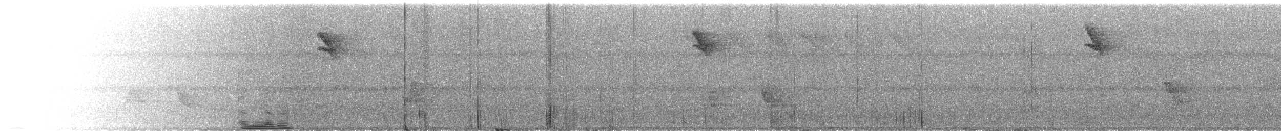 Forest Thrush - ML619901174
