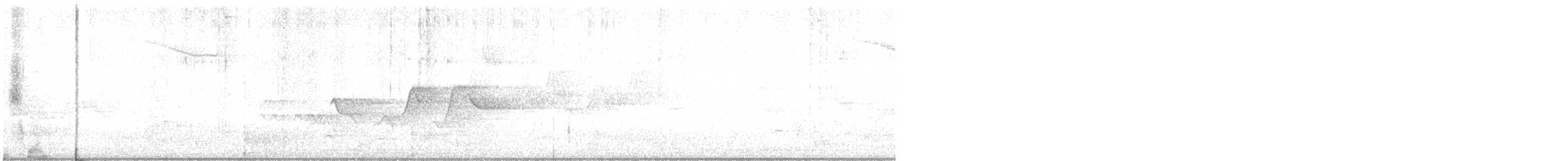Paruline à capuchon - ML619902781