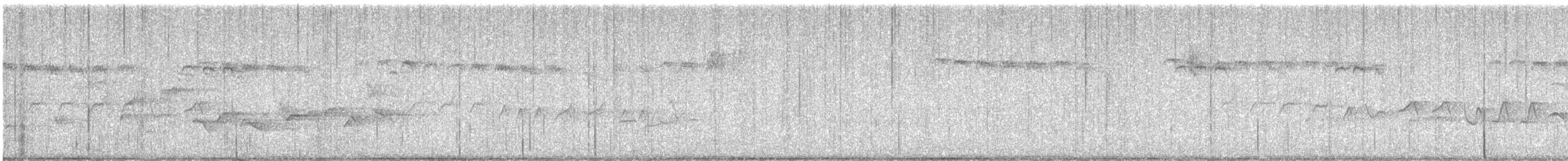 Uzun Kuyruklu Baştankara [europaeus grubu] - ML619905322