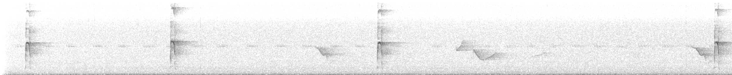 indianerspett (villosus gr.) - ML619907111