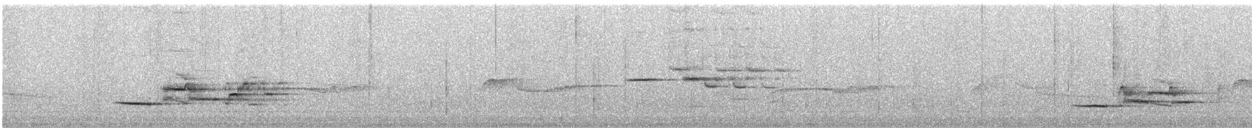Münzevi Bülbül Ardıcı (faxoni/crymophilus) - ML619911410