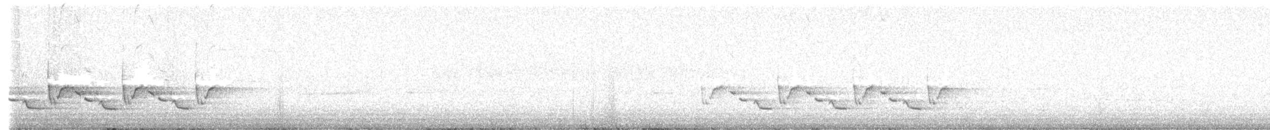 Каролинский крапивник - ML619911432