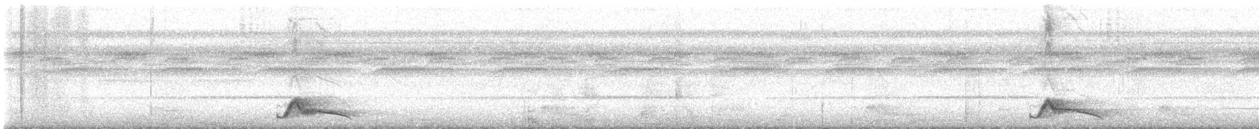 Pauraquenachtschwalbe - ML619912724