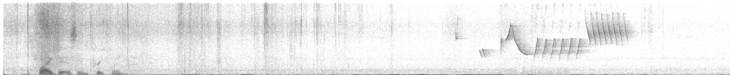 Green-tailed Towhee - ML619913308