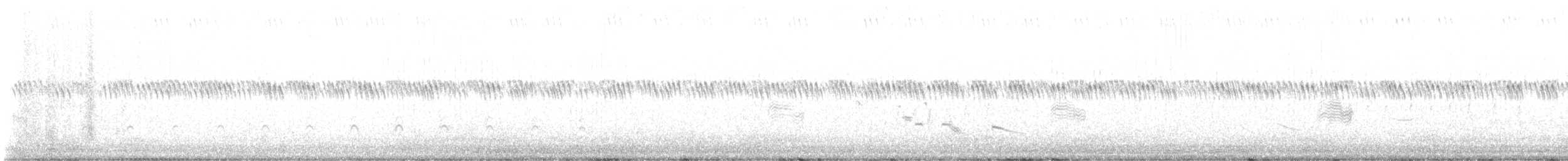 Common Nighthawk - ML619913543